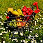 Devenir producteur local français : ce qu’il faut savoir